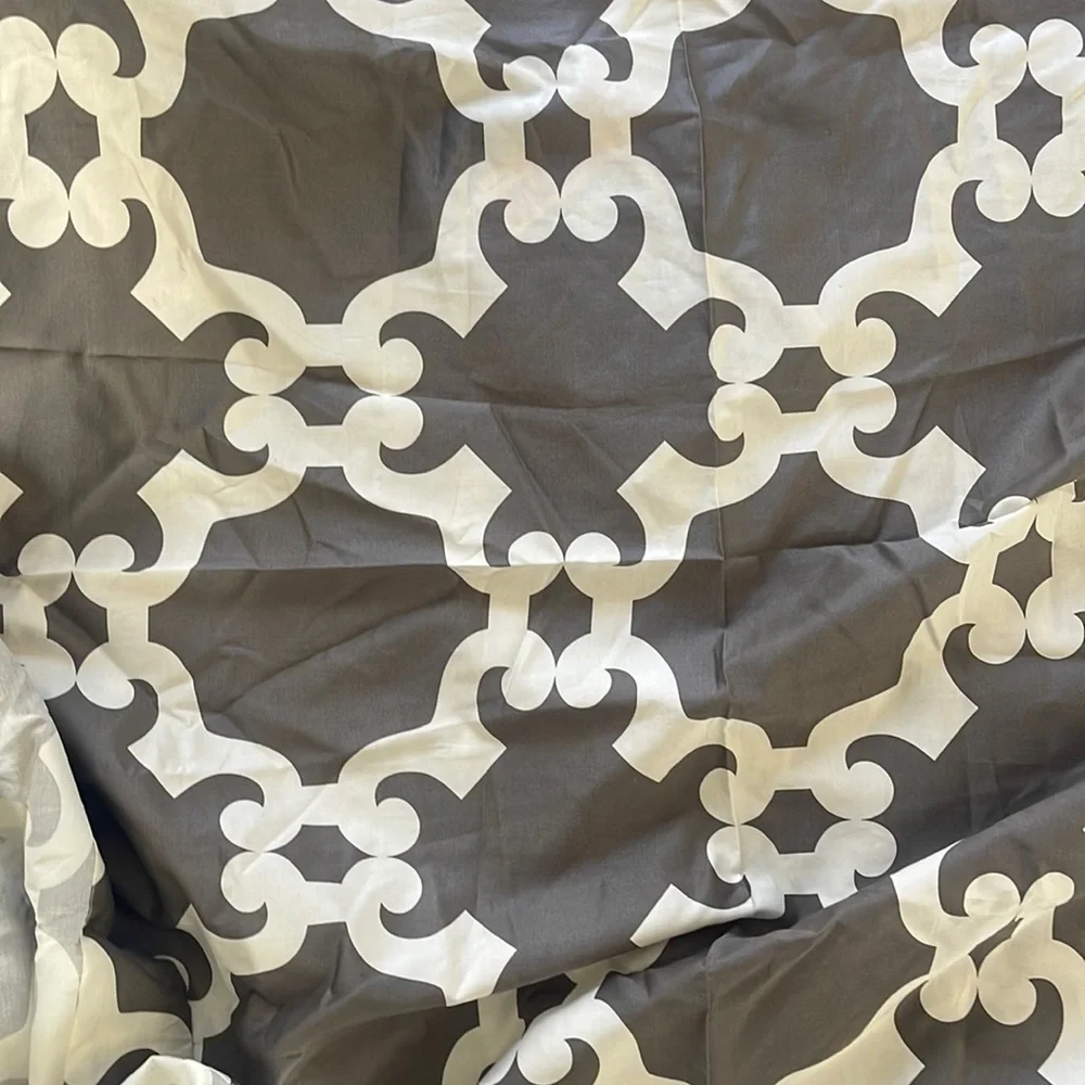 Z Gallerie Grey and white Curtain Panels 2